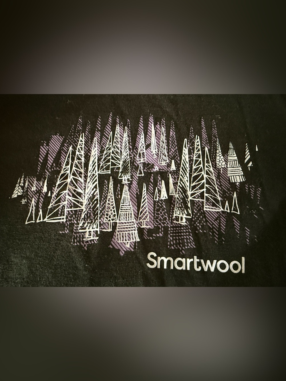 Smartwool Merino Sport 150 Women's Black Long Sleeve Baselayer Graphic T Small - Picture 3 of 8